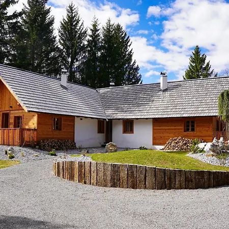 Alpine Retreat Surc Ratece