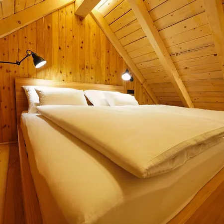 Apartma Alpine Retreat Surc