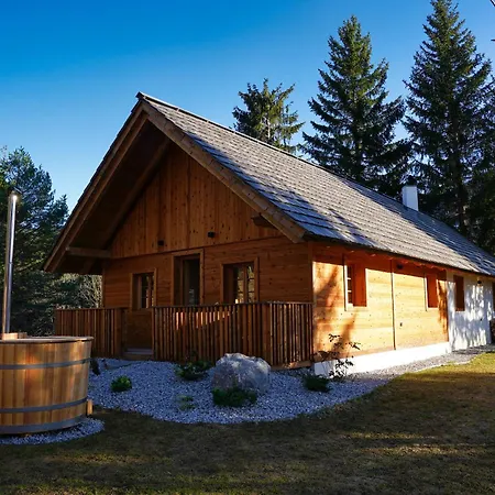 Alpine Retreat Surc