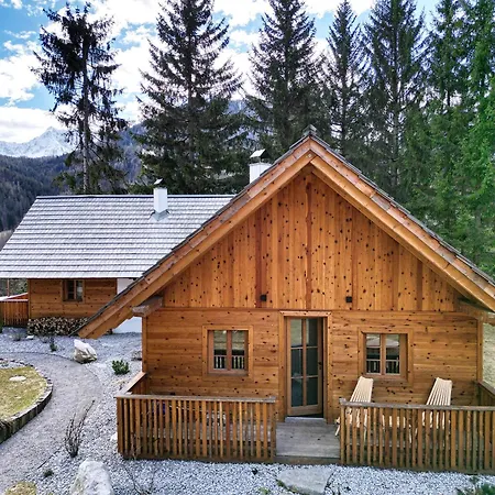 Alpine Retreat Surc Apartma *