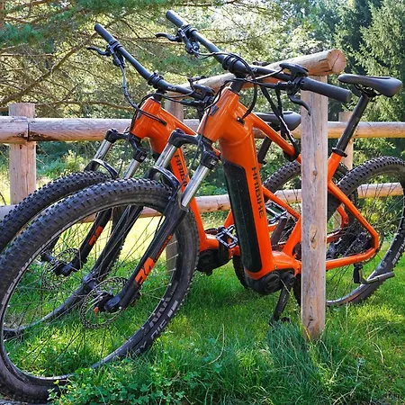 Alpine Retreat Surc *