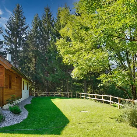 Alpine Retreat Surc Apartment Ratece