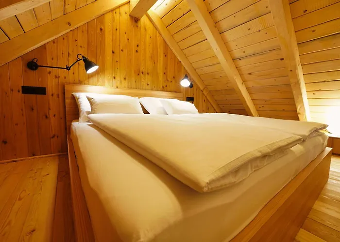 Apartment Alpine Retreat Surc